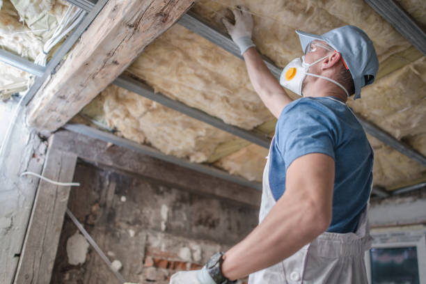 Best Insulation Maintenance and Repair in Lakemore, OH